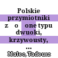 Polskie przymiotniki złożone typu dwuoki, krzywousty, rudobrody na tle słowiańskim
