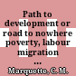 Path to development or road to nowhere : poverty, labour migration and environment linkages in developing countries