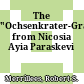 The "Ochsenkrater-Grab" from Nicosia Ayia Paraskevi