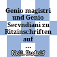 Genio magistri und Genio Secvndiani : zu Ritzinschriften auf Tongefässen aus Traismauer und Wels (Noricum)