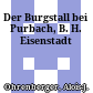 Der Burgstall bei Purbach, B. H. Eisenstadt