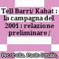 Tell Barri/ Kahat : : la campagna del 2001 : relazione preliminare /