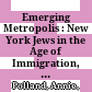 Emerging Metropolis : : New York Jews in the Age of Immigration, 1840-1920 /