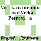 Voćka na drumu : život Velka Petrovića