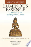 Luminous essence : a guide to the Guhyagarbha Tantra