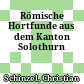 Römische Hortfunde aus dem Kanton Solothurn