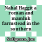 Nahal Haggit : a roman and mamluk farmstead in the southern carmel