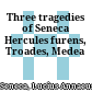 Three tragedies of Seneca : Hercules furens, Troades, Medea