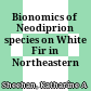 Bionomics of Neodiprion species on White Fir in Northeastern California
