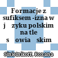 Formacje z sufiksem -izna w języku polskim na tle słowiańskim