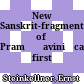 New Sanskrit-fragments of Pramāṇaviniścayaḥ, first chapter