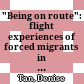 "Being on route": flight experiences of forced migrants in Austria and Turkey