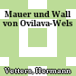 Mauer und Wall von Ovilava-Wels