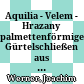 Aquilia - Velem - Hrazany : palmettenförmige Gürtelschließen aus pannonischen und boischen Oppida