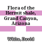 Flora of the Hermit shale, Grand Canyon, Arizona
