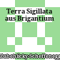 Terra Sigillata aus Brigantium